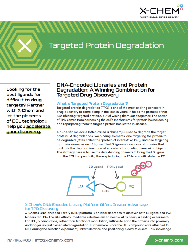 targeted-protein-degradation